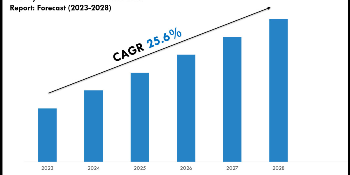 UAE Cyber Insurance Market Volume, Trends and Growth Outlook Report 2028