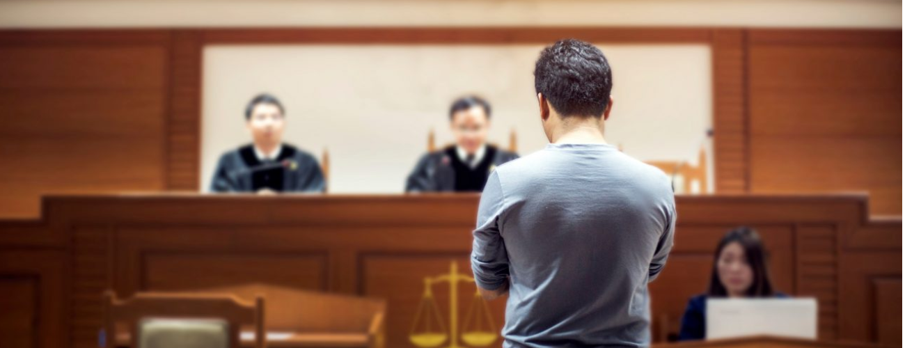 Pro Se Legal Support USA | Coaching, Review & Self-Rep Aid
