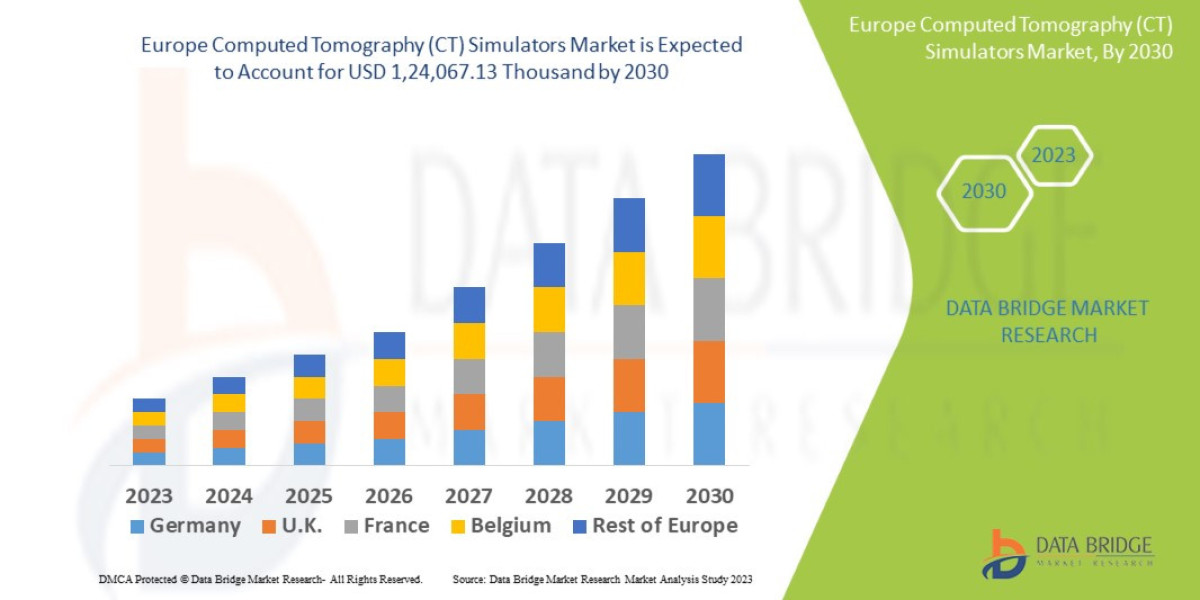 Europe Computed Tomography (CT) Simulators Market Industry Statistics: Growth, Share, Value, Insights, and Trends