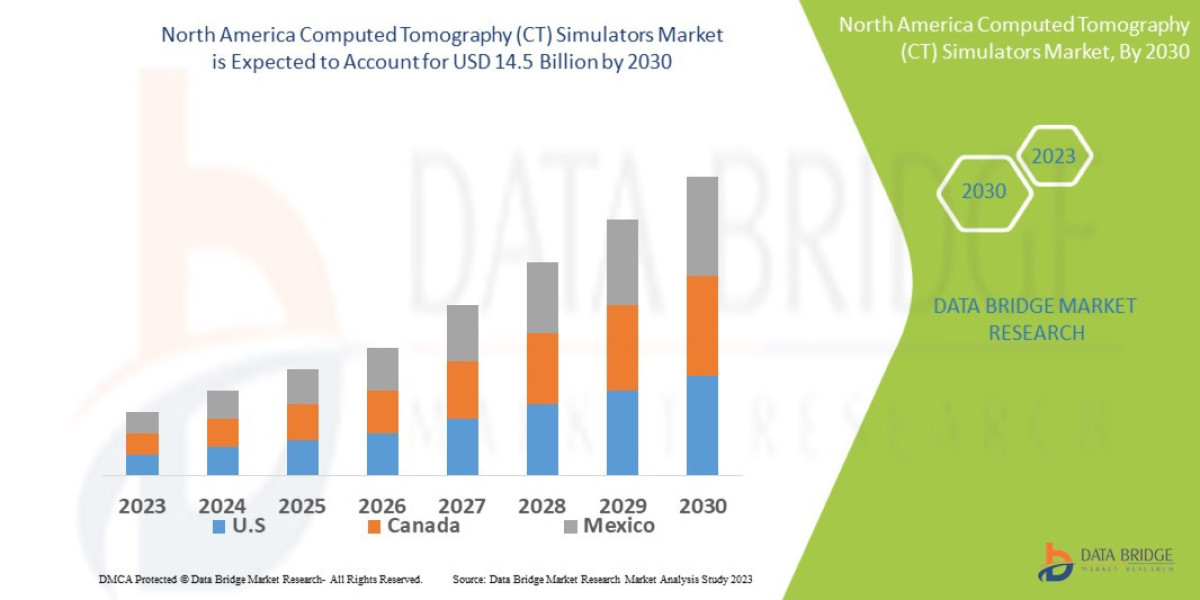 North America Computed Tomography (CT) Simulators Market Future Scope: Growth, Share, Value, Insights, and Trends