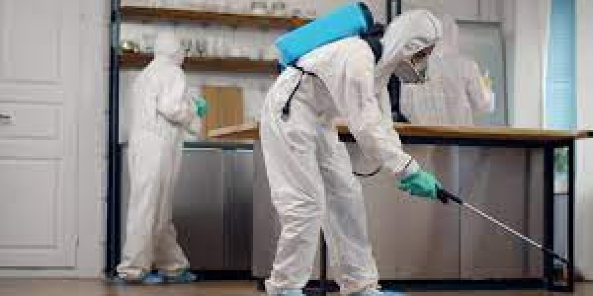 Best Pest Control Services in Lahore: Your Ultimate Guide to a Pest-Free Home