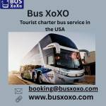 BusXoXo Service Profile Picture