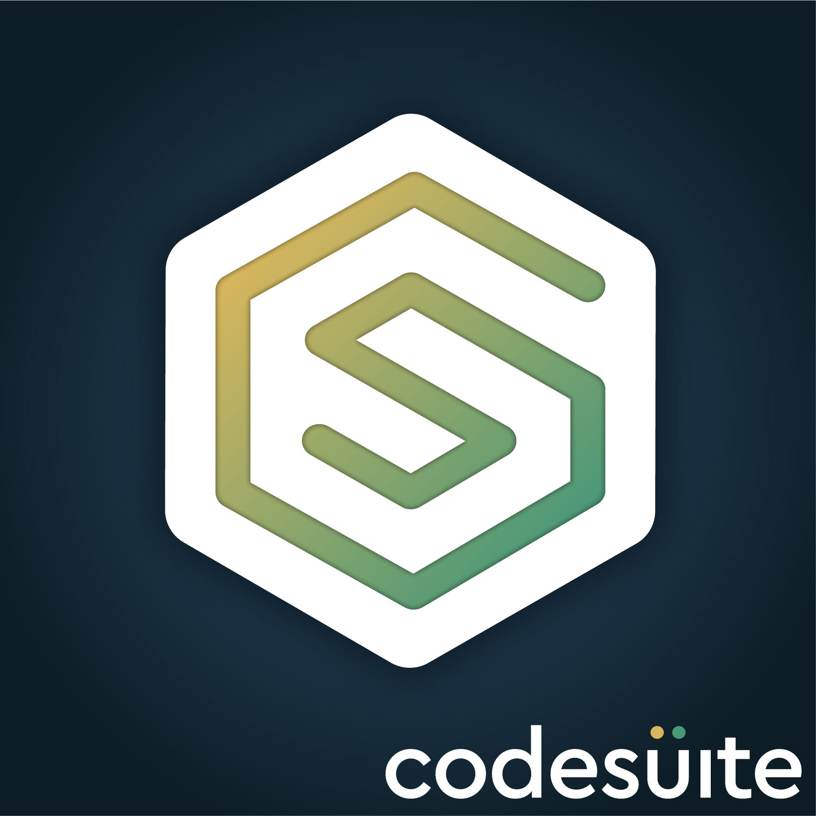 Custom Software Solutions Provider in USA | CodeSuite