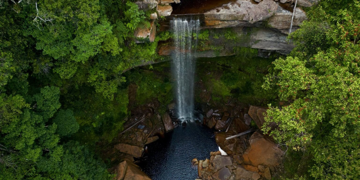 Exploring the Hidden Rainforest Gems of Borneo