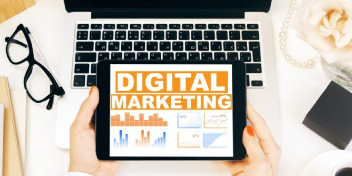 Case Studies: How the Best Digital Marketing Agencies in Toronto Grew Local Brands