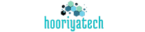 business Archives - Hooriya Tech