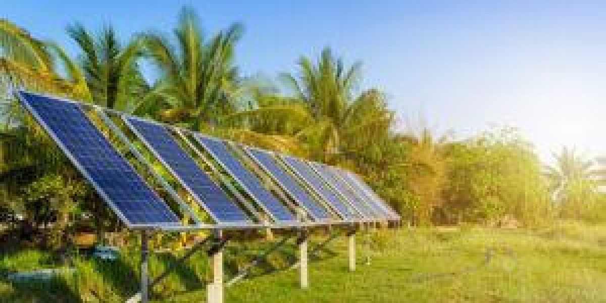 How to Choose the Right Solar Company in Kerala – A Complete Guide by Avansa Future Energy