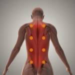 amarnath Profile Picture